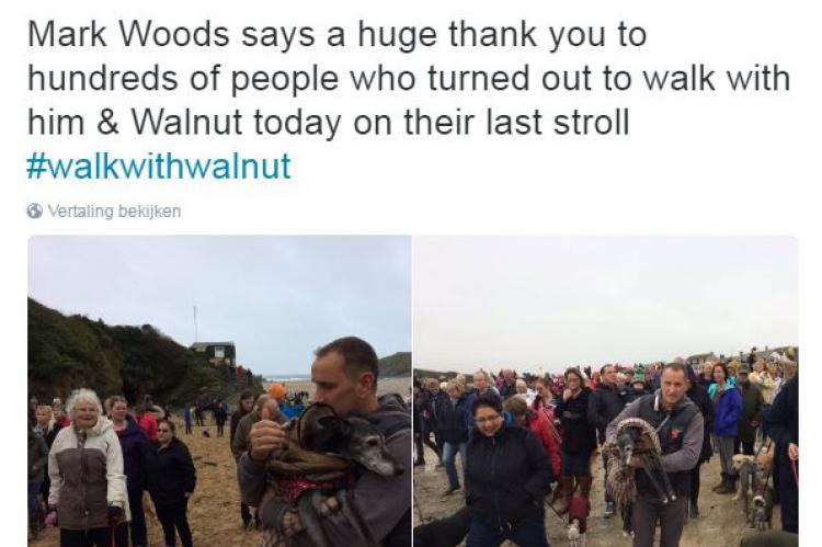 Ontroerende laatste wandeling voor Walnut
