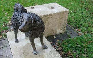 Bronzen hond gestolen