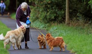 Hond laat ouderen vaker bewegen