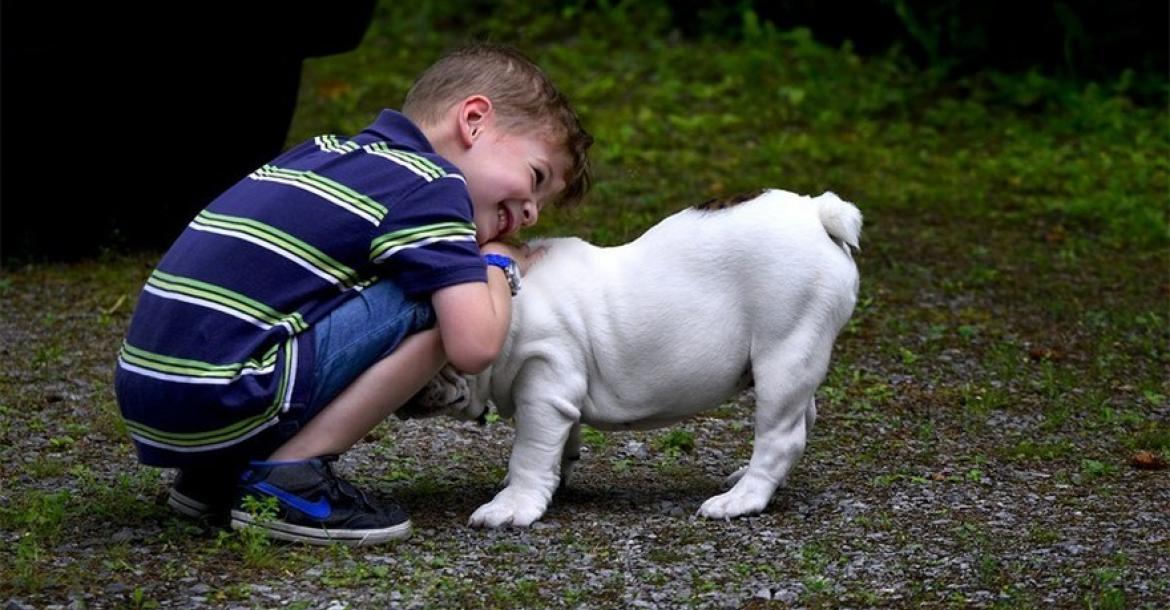 Kinderen herkennen hondentaal niet, of reageren verkeerd...