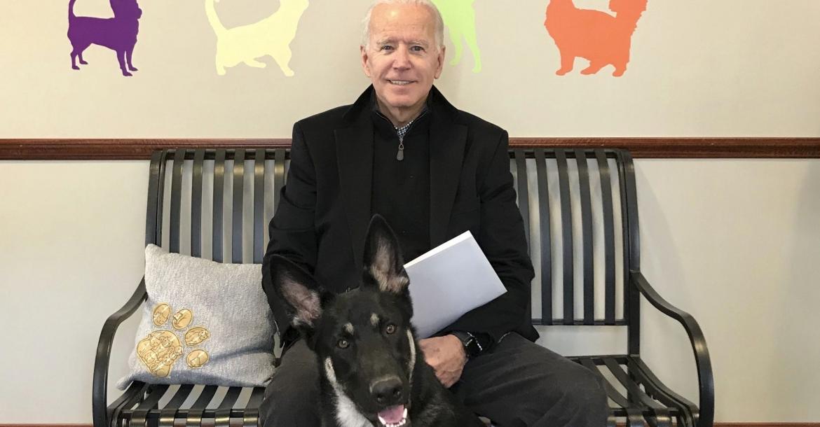 Na vier jaar zonder honden weer geblaf in Witte Huis