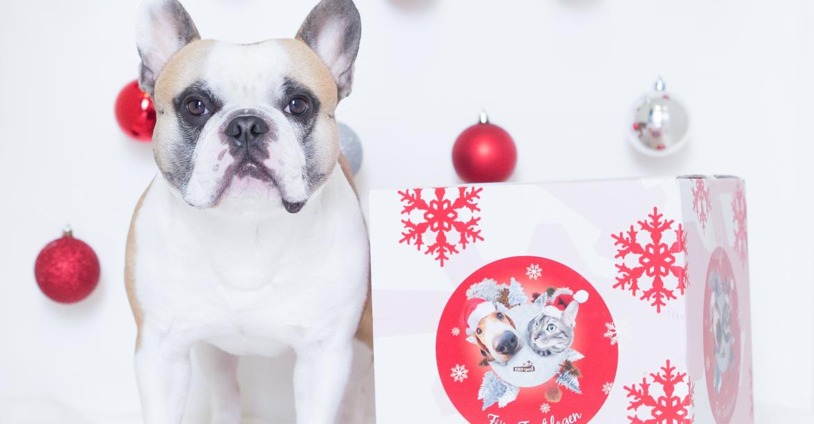 Kerstpakket voor je huisdier ultiem bedankje voor 2019