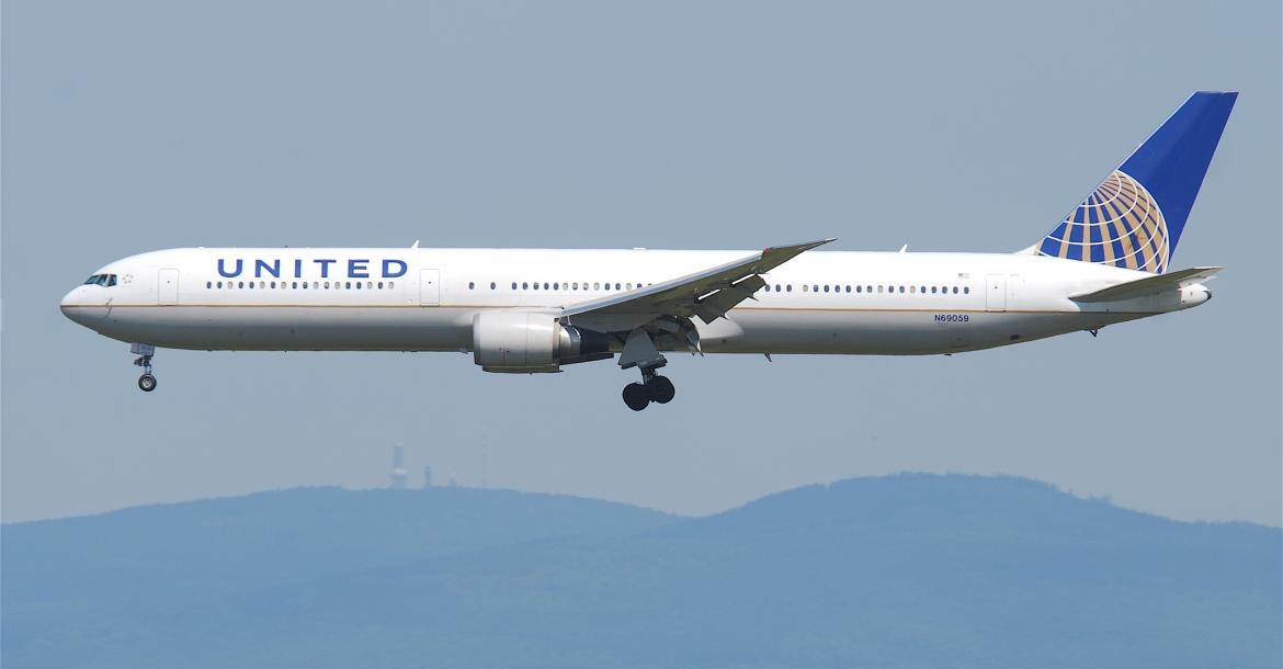 United verscherpt regels voor dieren mee met vliegtuig 