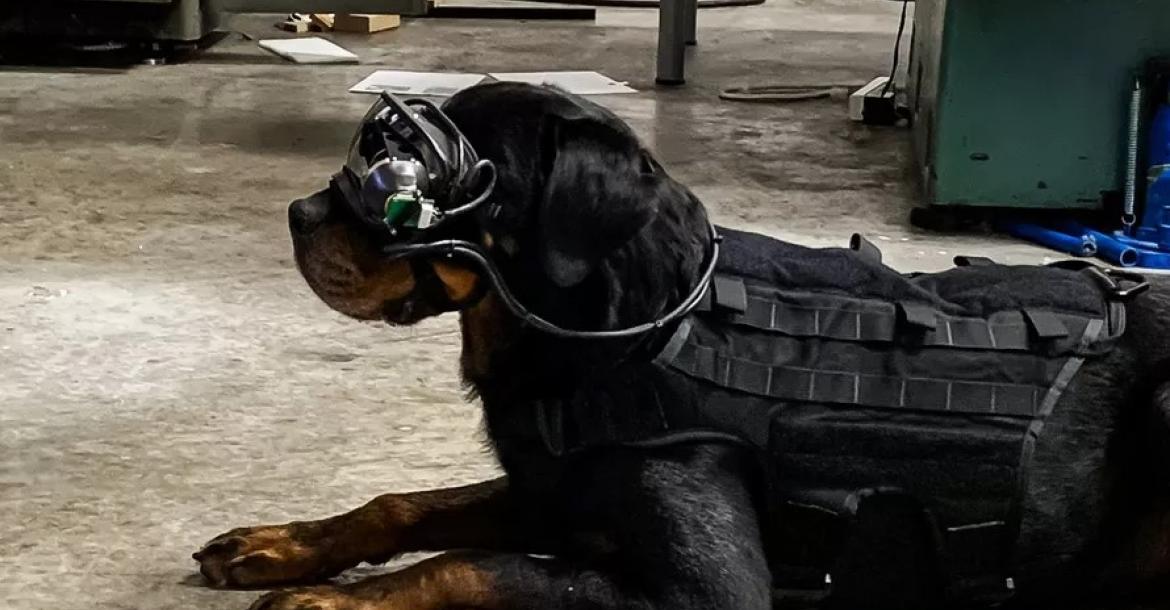 Augmented reality bril voor militaire honden op komst