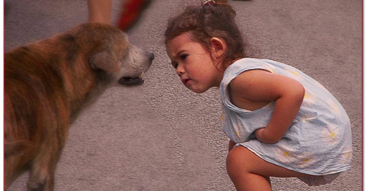 Risico: Angstige of blije hond, kinderen zien het verschil niet. 
