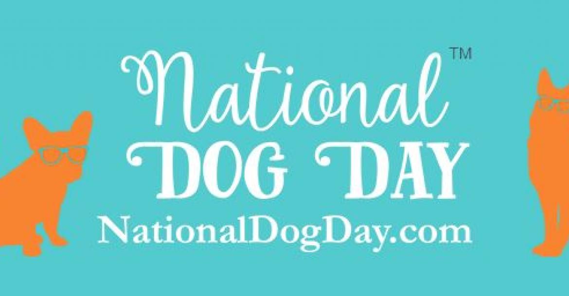 Internationale dag van de hond? sinds wanneer?