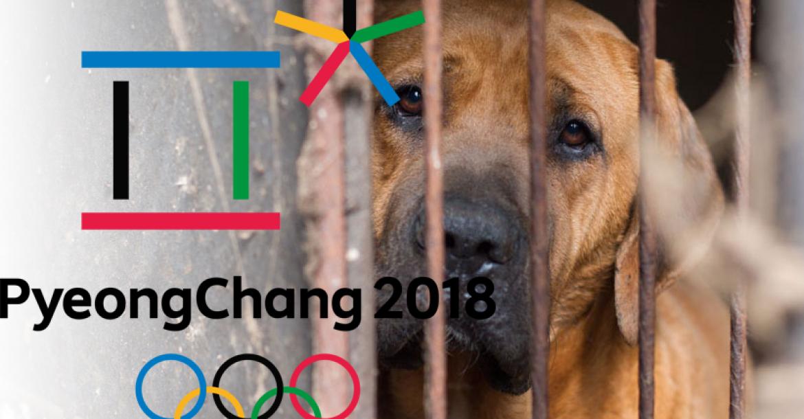 Korea sluit één hondenvleesmarkt in aanloop naar Winterspelen