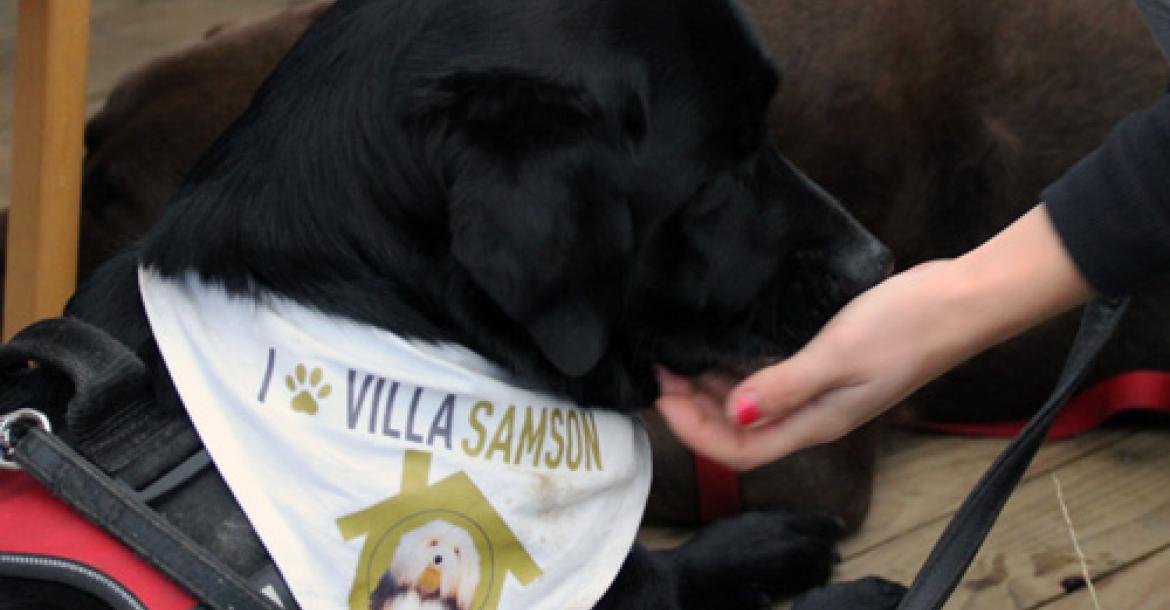 Villa Samson biedt patiënten tijd met hun hond of kat