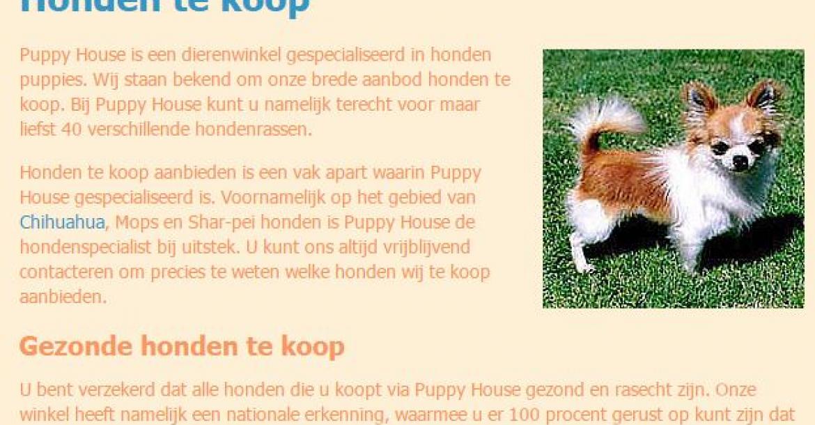 Zware straffen geëist tegen Belgische puppyhandelaren