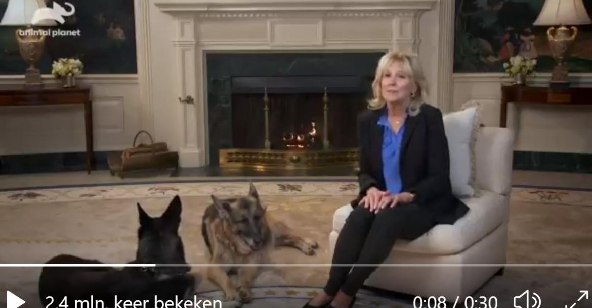 Biden stuurt honden Witte Huis uit na mogelijk bijtincident