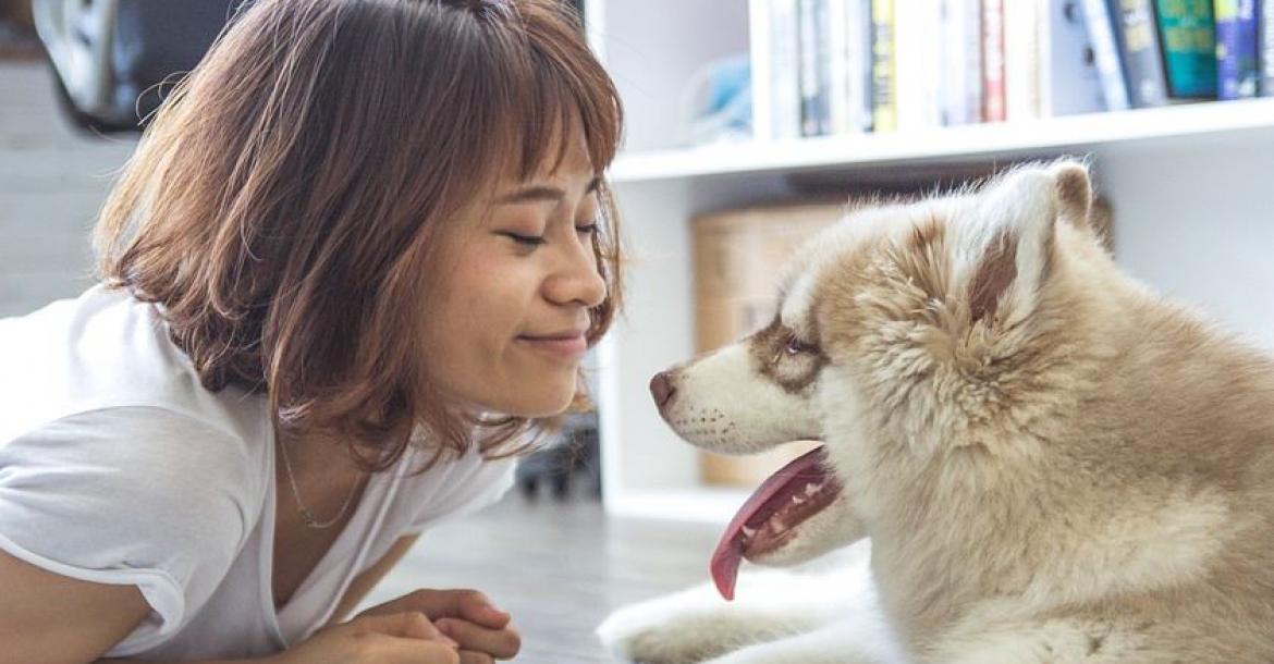 Hormoon maakt honden blij met glimlach