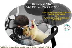 Spanje woedend nadat politie hond doodschiet