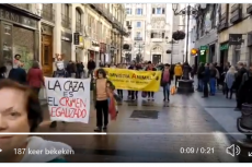 Demonstraties tegen behandeling van Galgo's in heel Europa