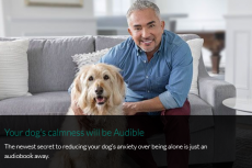 Millan komt met audioboek voor honden tegen verlatingsangst