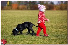 Honden en kleine kinderen, sociaal lijken ze sterk op elkaar