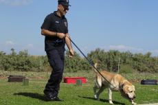 Politie ook in actie tegen verenigingen die honden mishandelen