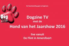 Embedded thumbnail for Hond van het Jaarshow 2016