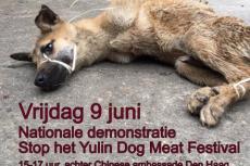 Embedded thumbnail for Stop Yulin protest The Hague 2017